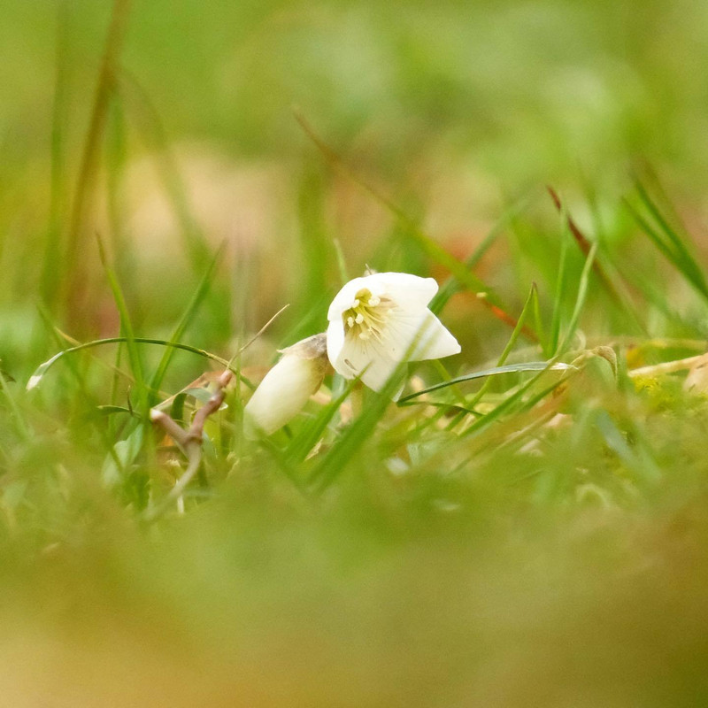 zunko0306さんの写真 / 3