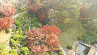 和室 (ガーデンビュー) 禁煙