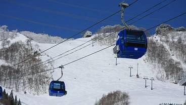 スノー スポーツとスキー / 8