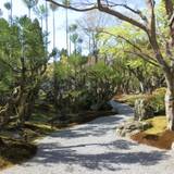 しょうざんリゾート京都の小道 / 2