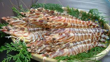 食事・飲み物 / 2