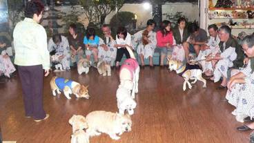 ペット同伴可 / 3