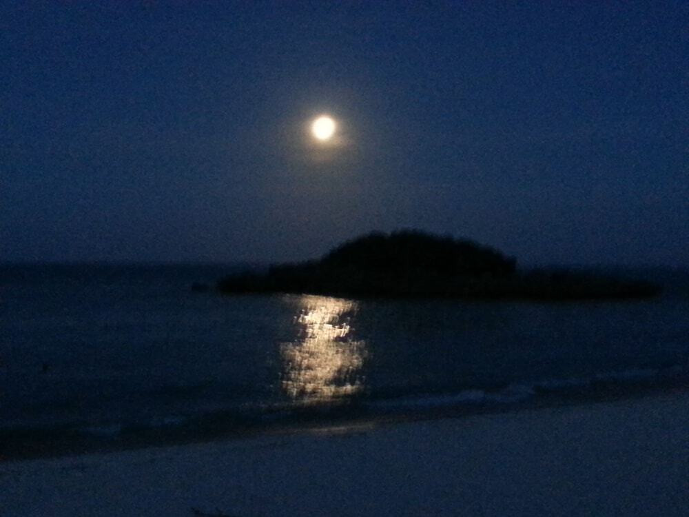 施設からの眺望