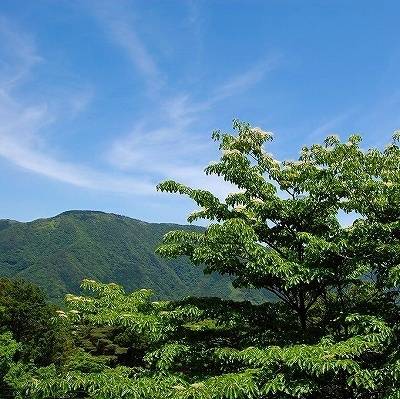 ドライブで行こう
食と自然が豊富な箱根 / 2