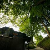 宿房 翡翠之庄 The Kingfisher resort（大分県 旅館） / 4