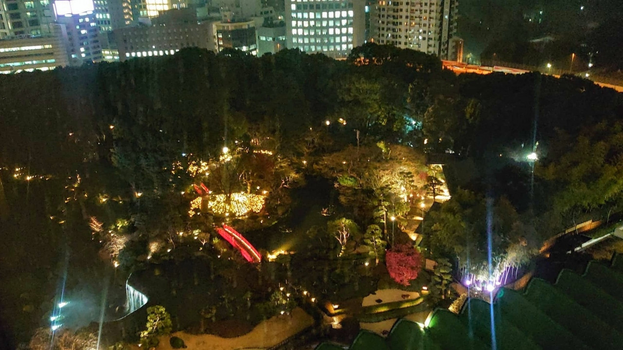 ライトアップされた日本庭園