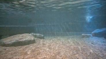 バスルーム / 23