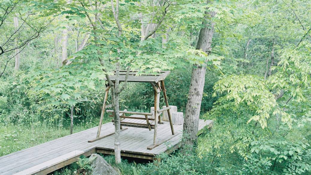 野を愛でる つめ草 屋外テラス / 5