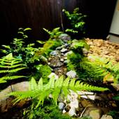 京の片泊まり 竹間つゆくさ庵（京都府 町家） / 4