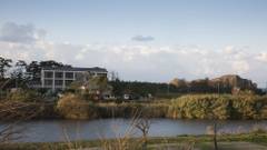 心をほどく体験と心が躍る蟹と魚 海辺のうまし宿 とト屋