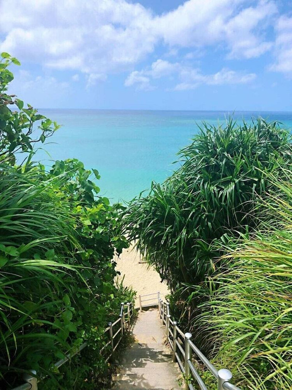 ビーチ / オーシャン ビュー