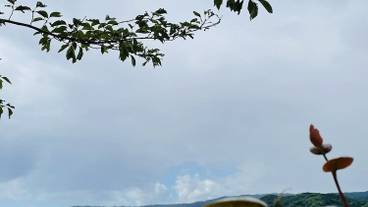 シティ ビュー / 7