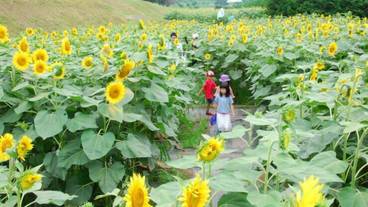 観光スポット / 16