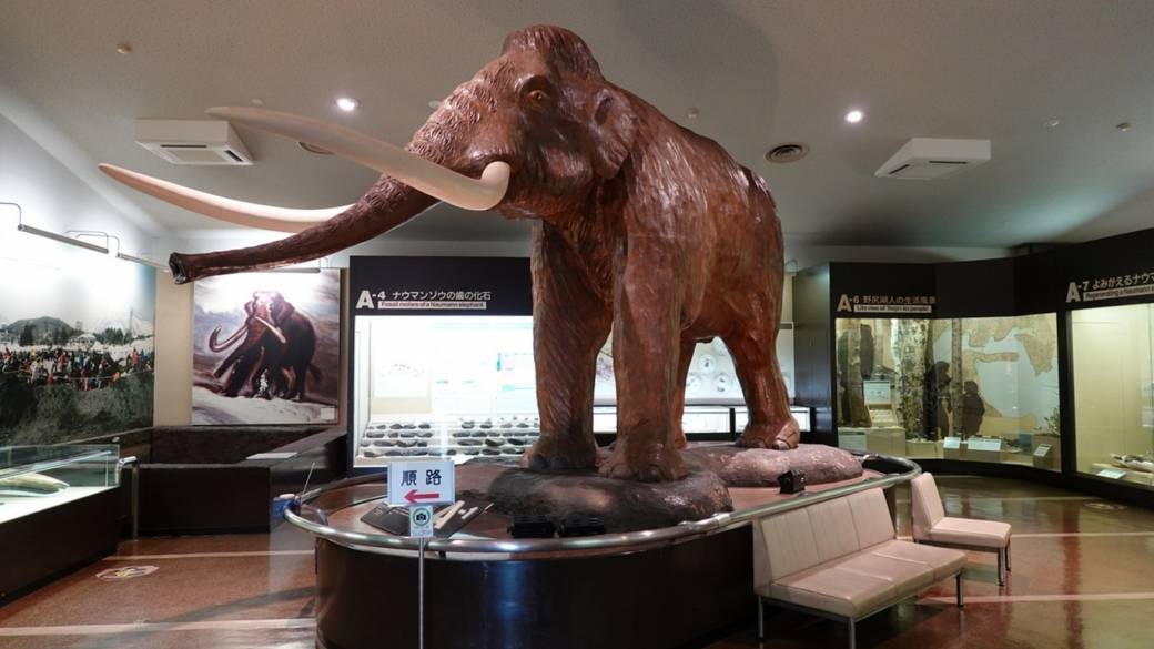 野尻湖ナウマンゾウ博物館 / 3