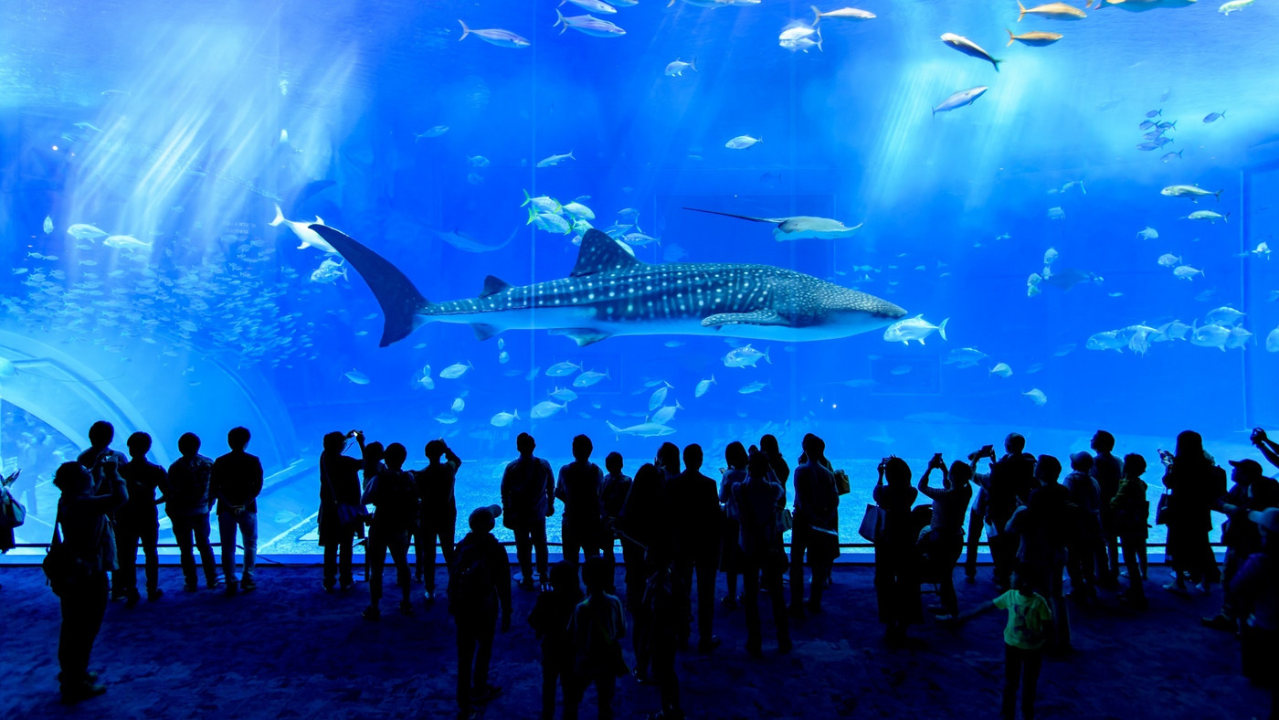 上品な内装で居心地抜群。オーシャンビューに癒される4069016