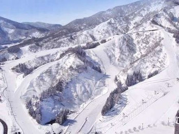 ゲレンデに隣接する高級リゾートホテル3503242