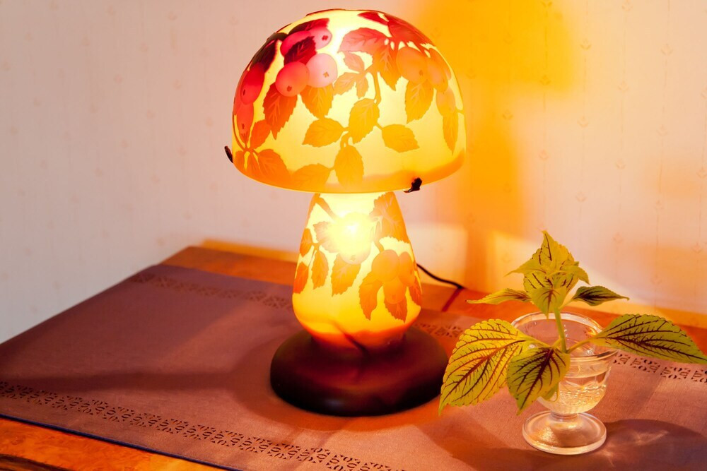 客室の設備とサービス