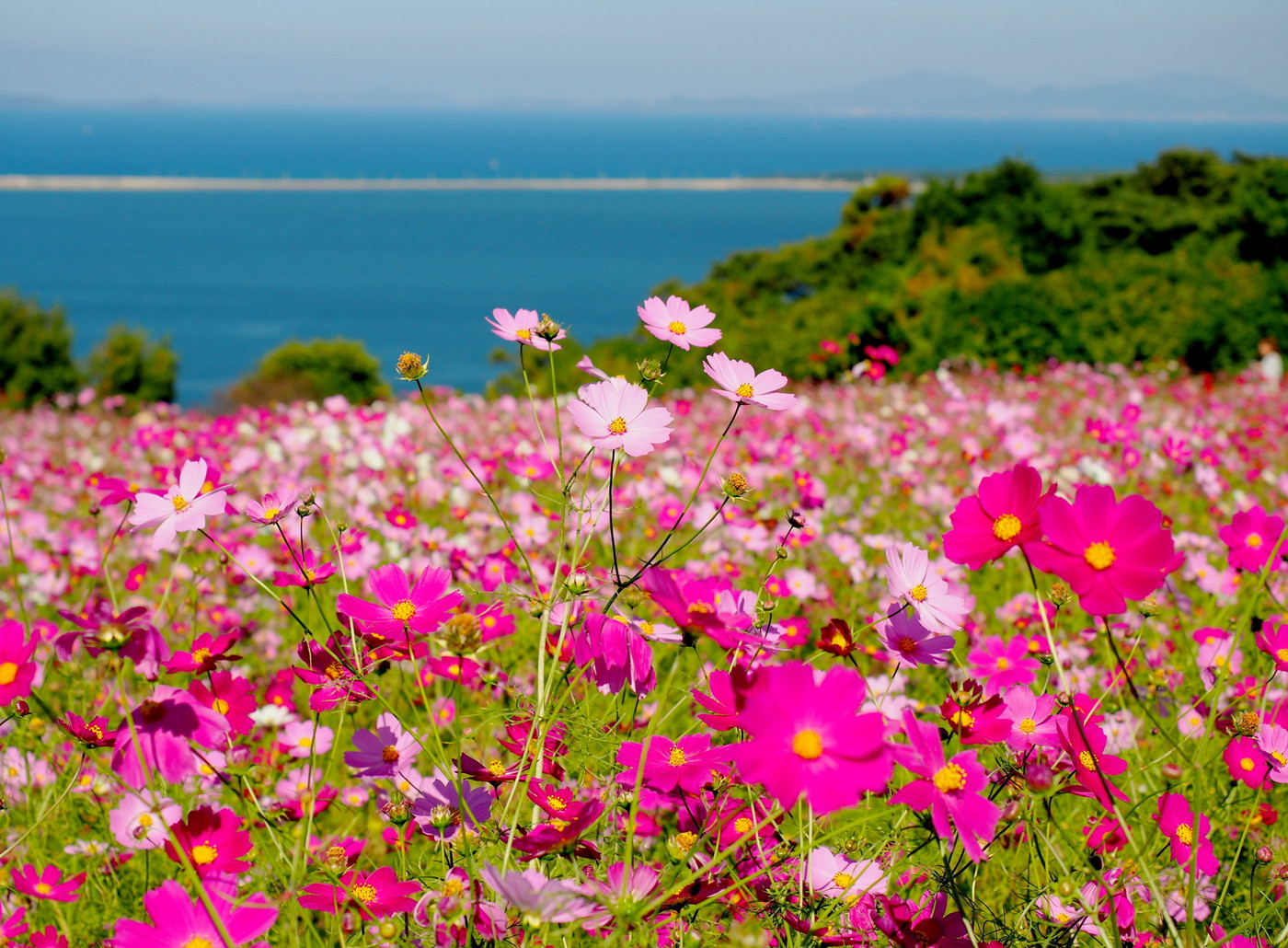 能古島