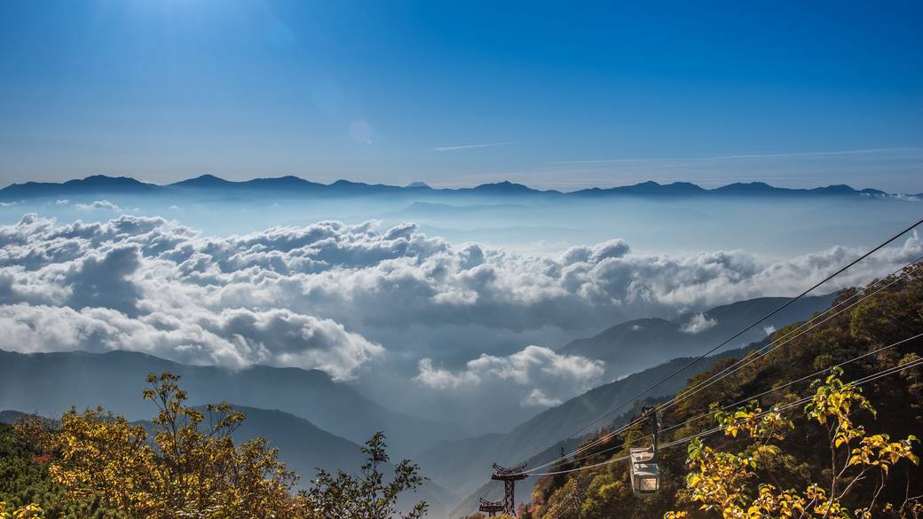 ロープウェイで
箱根の絶景を堪能 / 1