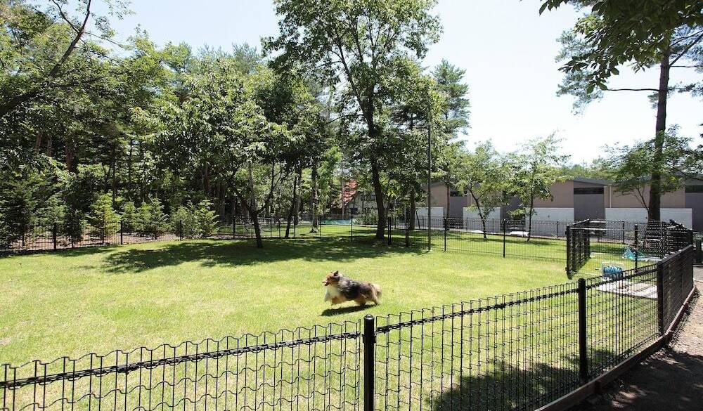 のびのびと駆け回る
愛犬を見て幸せに / 1