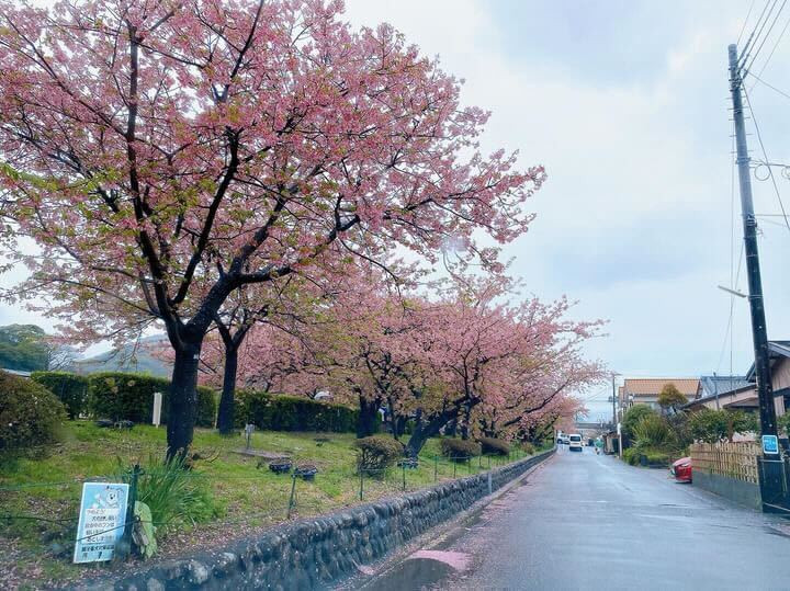 minatoya0711さんの写真 / 1