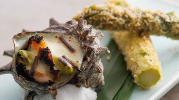 食事・飲み物 / 29