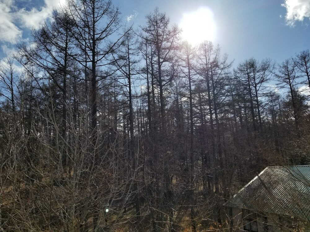 バルコニーからの眺望