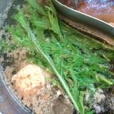 しゃぶしゃぶ 晴れぶたい（シャブシャブハレブタイ）