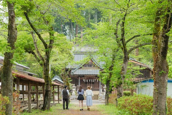 早朝散歩に参加して里山の自然を感じよう2224207