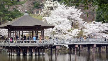 シティ ビュー / 20