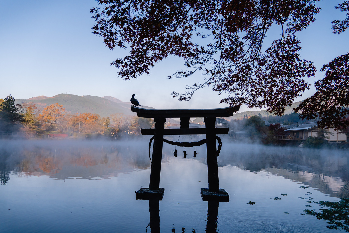 湯布院　朝霧　早朝　鳥居