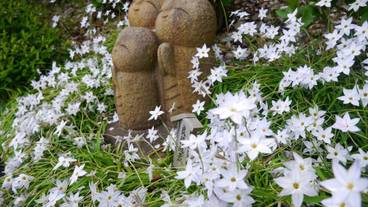 観光スポット / 14