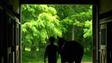 スポーツ設備 / 1