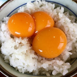 こだわり卵の究極“TKG”が食べられる！京都「弁天の里」