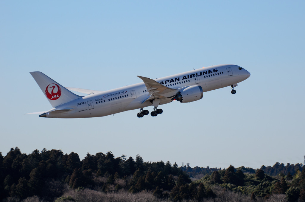 10.カタール航空46835