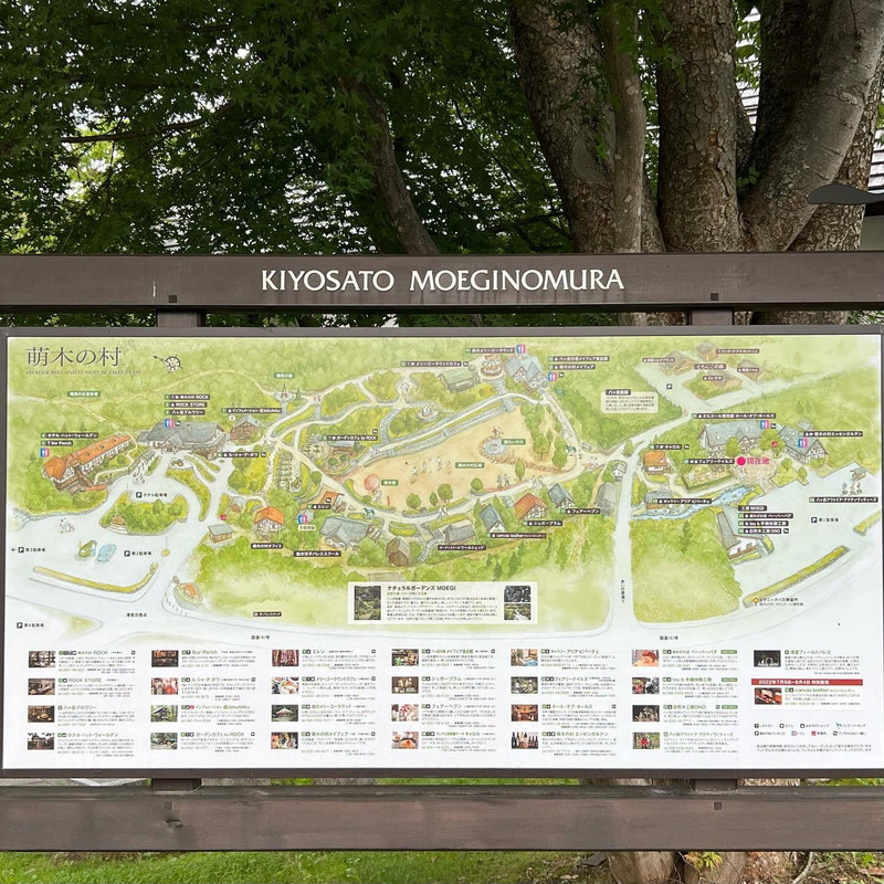 yukona_tabiさんの写真 / 1