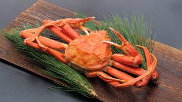 レストラン / 12