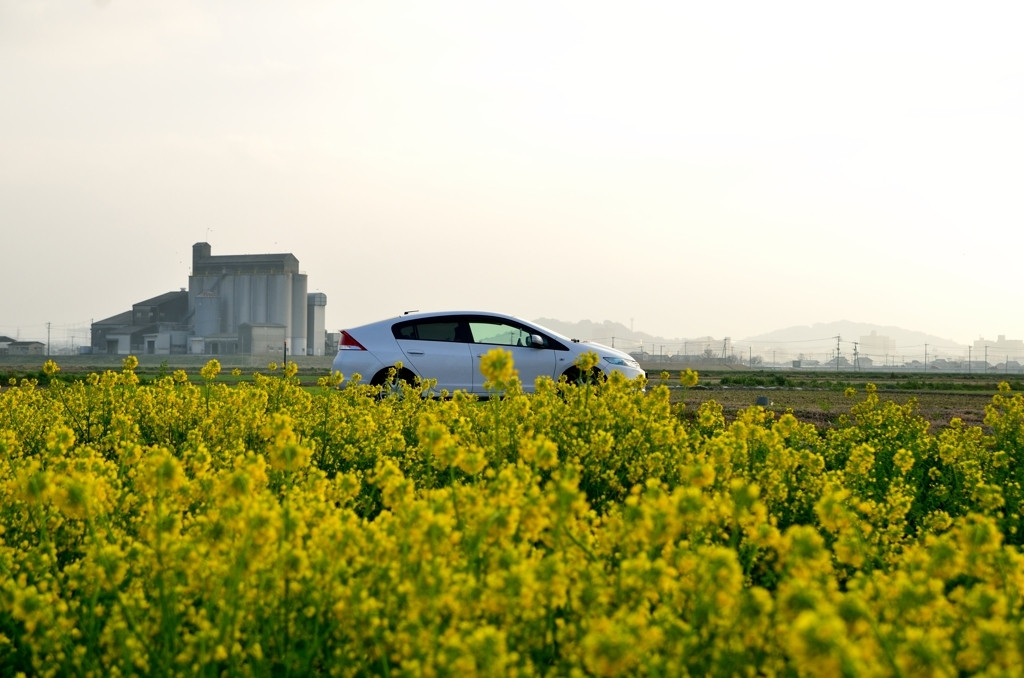 糸島デートには車利用がおすすめ2846361