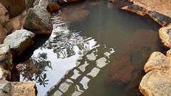 パシフィック温泉ホテル 清龍園