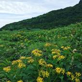ドナルドペンション（福島県 ペンション） / 4