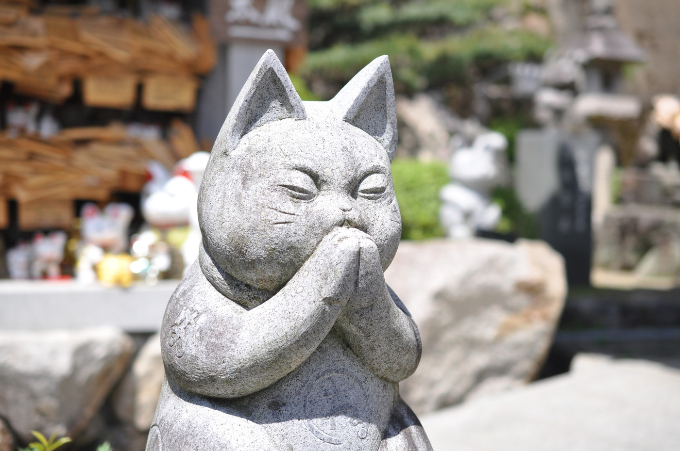 猫をまつる寺社をめぐり、可愛くほっこり♪いやし旅4090755