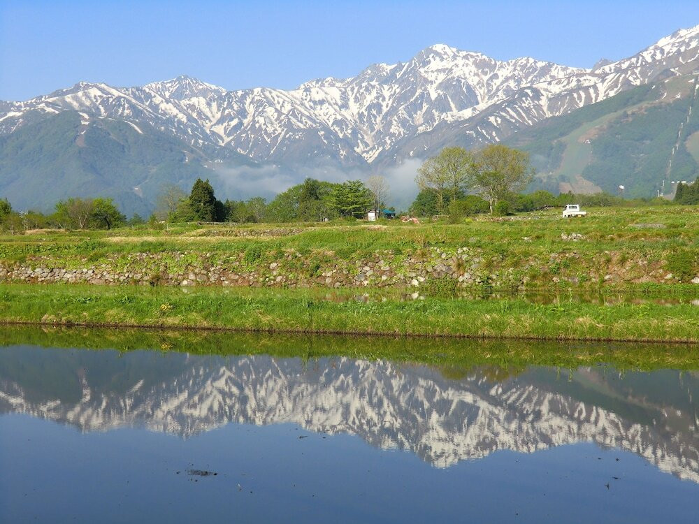 マウンテン ビュー