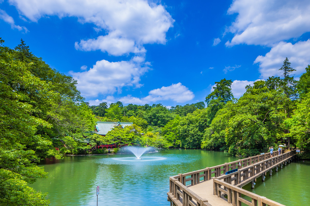 井の頭恩賜公園 風景