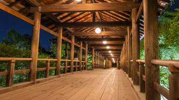 観光スポット / 17