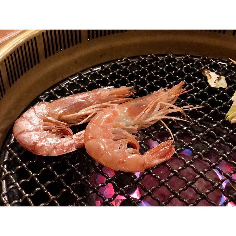 jewel_lina_07tripさんの写真 / 4