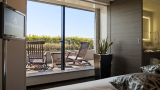 ラグジュアリーコーナーダブル/テラス付 禁煙(44㎡)