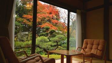 客室の眺望一例② / 14