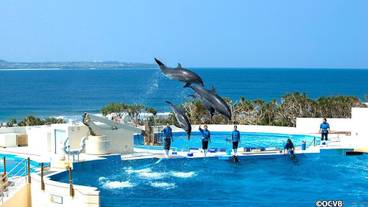 観光スポット / 4