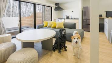 リビング エリア / 38