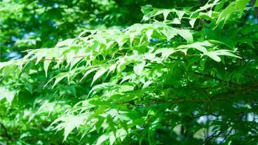 施設からの眺望 / 30